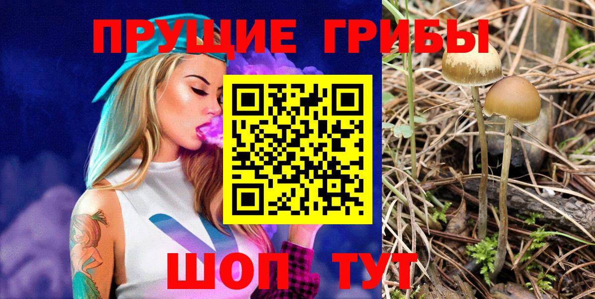 Галлюциногенные грибы Psilocybe  Псилоцибиновые грибы GOLDEN TEACHER  Когалым  Вход с VPN 